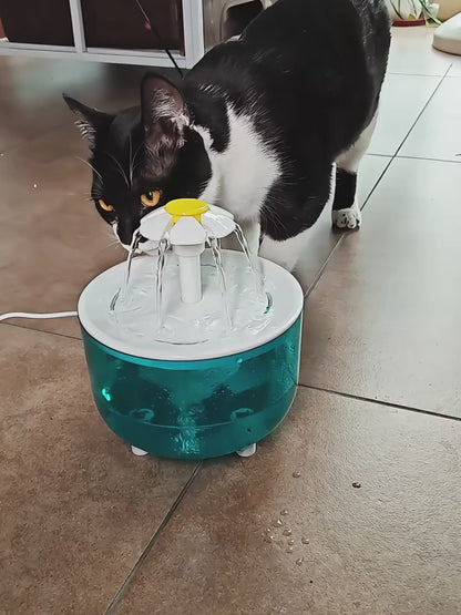 Zwierzko™ Fontanna dla Kota